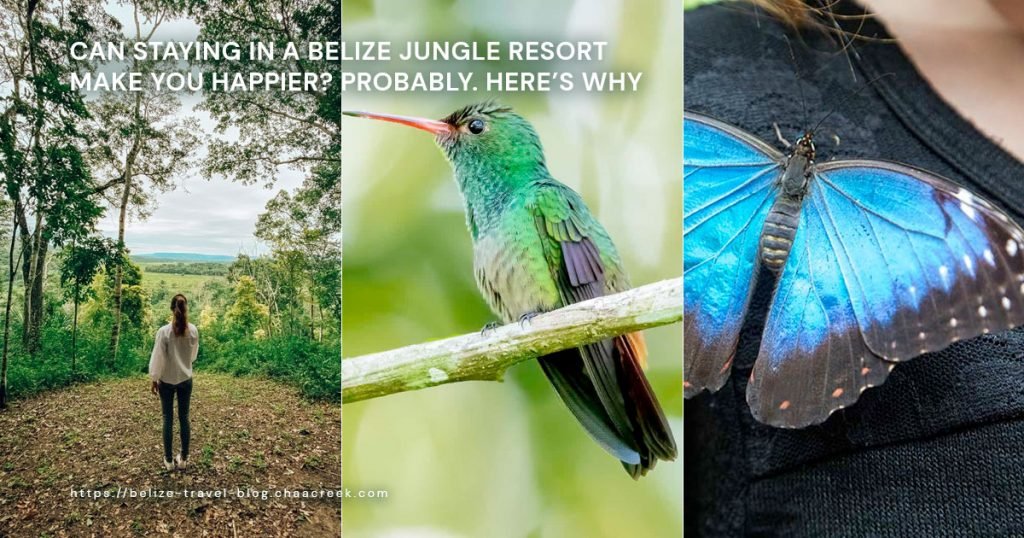 can staying in a belize jungle resort make you happy cover photo image