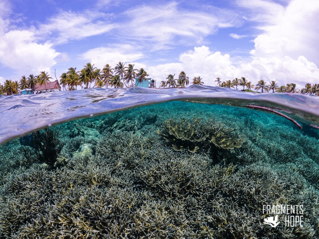 Travel Belize