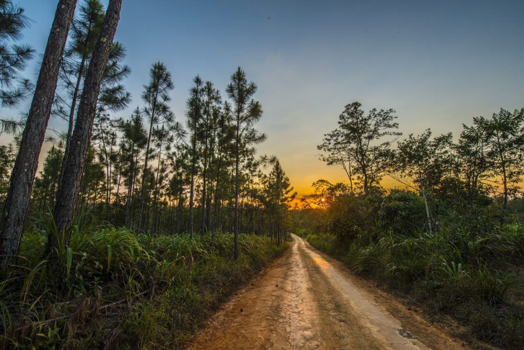 Travel Belize