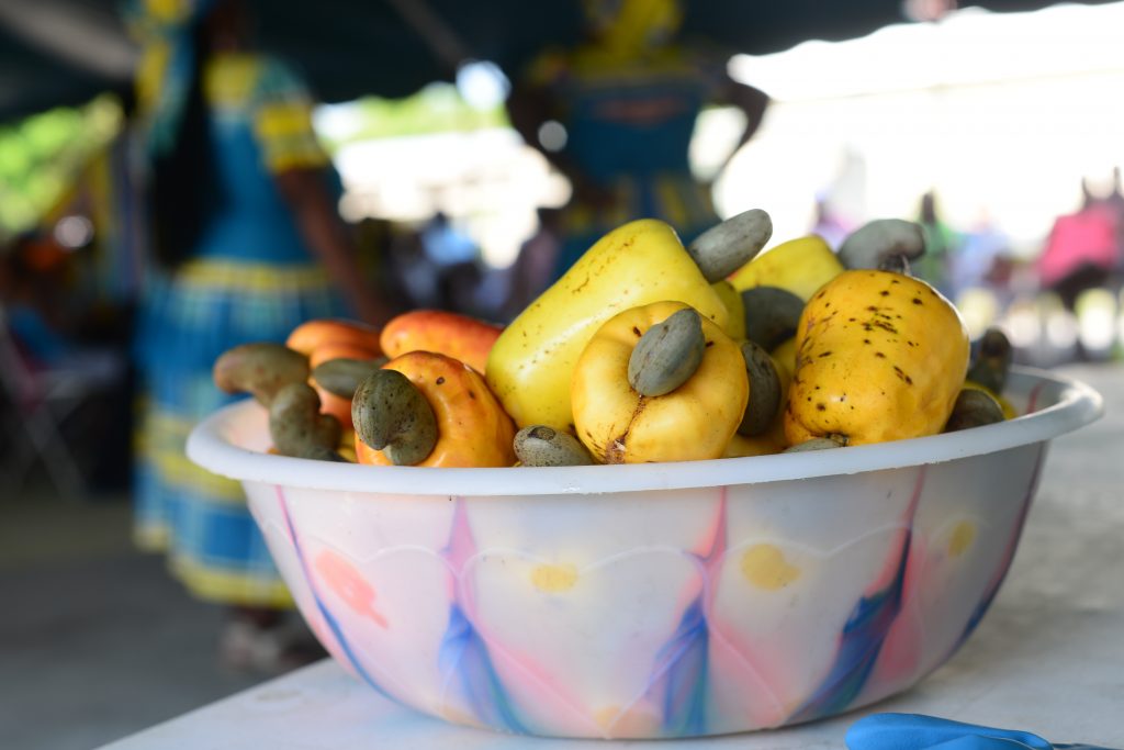 6 Local Fruits to Enjoy during Summer in Belize-Cashew