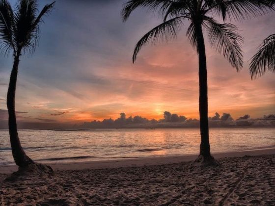 Sunset on the beach. 