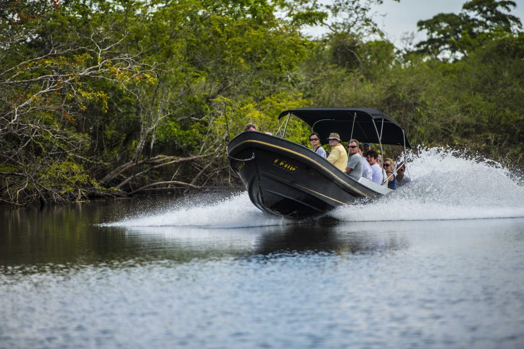 4 Fun Adventures to Explore Belize on a Cruise Stop- River Safari- Lamanai