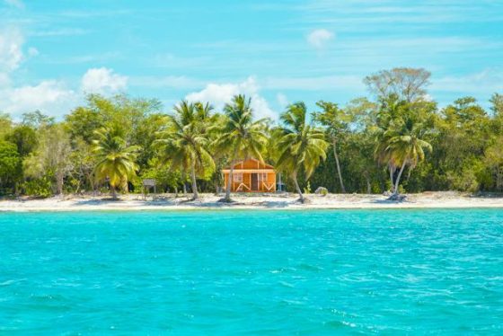 House among the palm trees on a tropical beach - Caribbean Living!