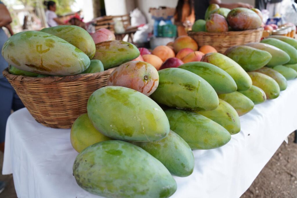 Belize during the summer - Hopkins Mango Street Fest